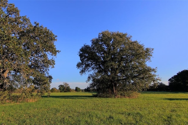 0080 County Road 415, Navasota, TX 77868 - photo 5
