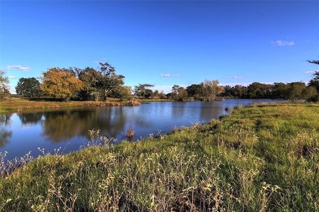 0080 County Road 415, Navasota, TX 77868 - photo 8