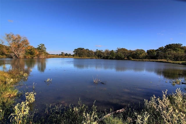 0080 County Road 415, Navasota, TX 77868 - photo 16