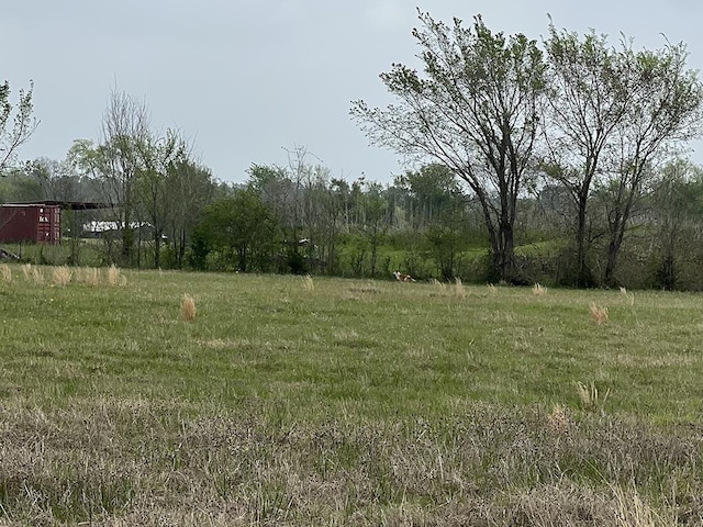0080 County Road 415, Navasota, TX 77868 - photo 18