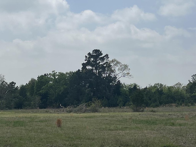 0080 County Road 415, Navasota, TX 77868 - photo 19