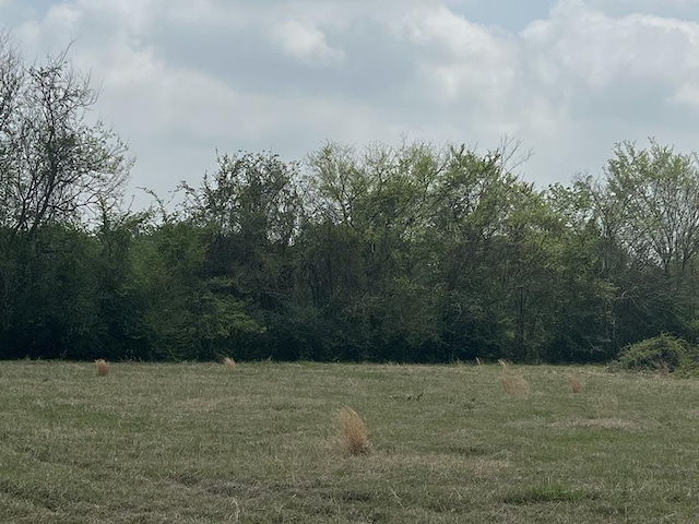 0080 County Road 415, Navasota, TX 77868 - photo 20