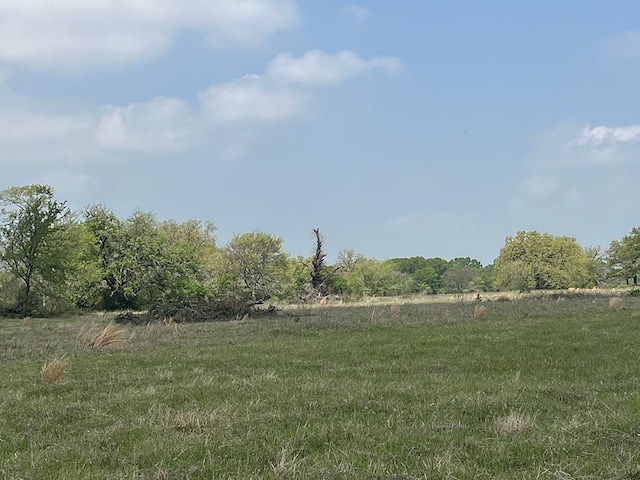0080 County Road 415, Navasota, TX 77868 - photo 7