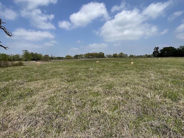 0080 County Road 415, Navasota, TX 77868 - photo 9