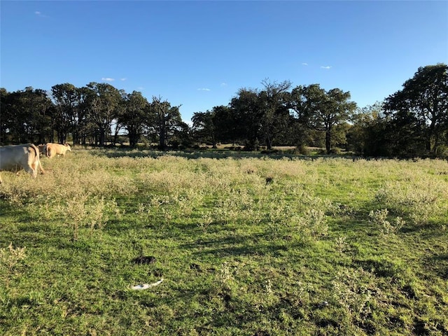 0080 County Road 415, Navasota, TX 77868 - photo 23