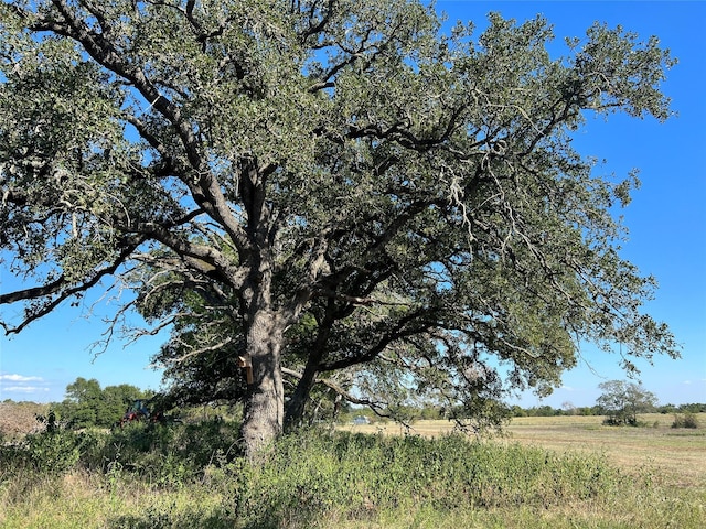 0080 County Road 415, Navasota, TX 77868 - photo 26