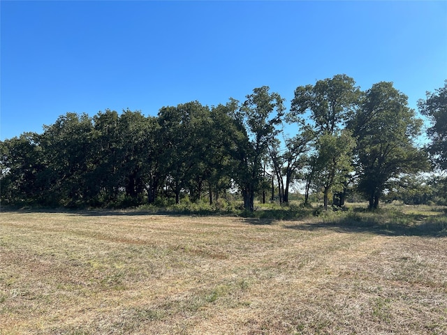 0080 County Road 415, Navasota, TX 77868 - photo 27