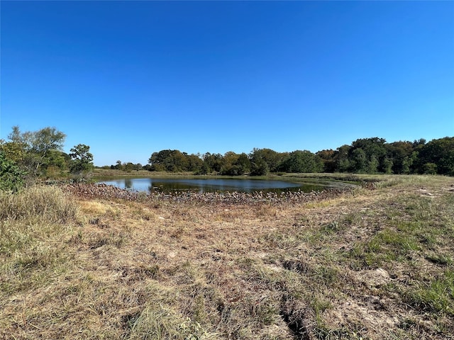 0080 County Road 415, Navasota, TX 77868 - photo 28