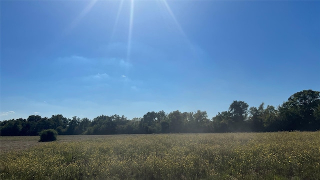 0080 County Road 415, Navasota, TX 77868 - photo 30