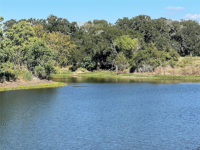 0080 County Road 415, Navasota, TX 77868 - photo 31
