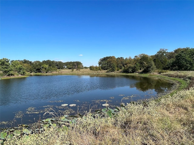 Listing photo 2 for 0080 County Road 415, Navasota TX 77868