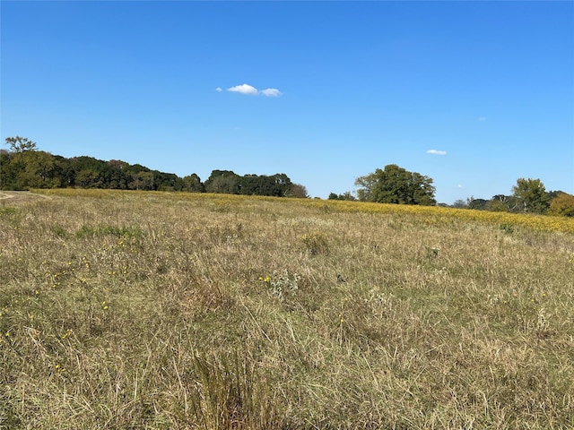0080 County Road 415, Navasota, TX 77868 - photo 33