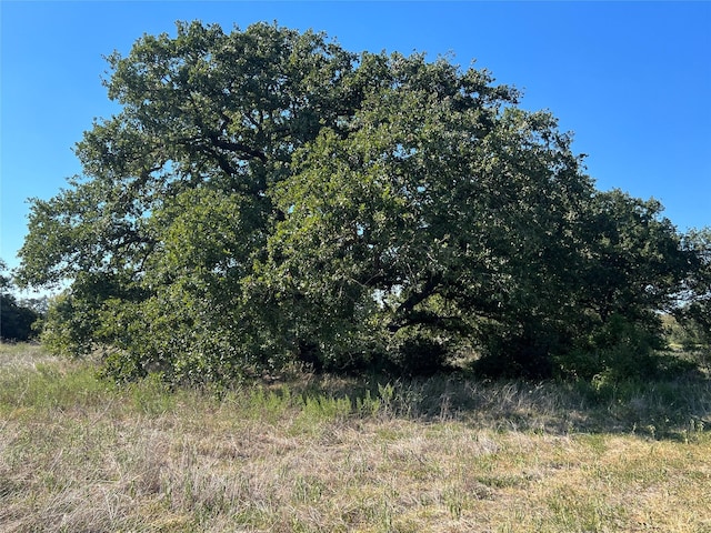 0080 County Road 415, Navasota, TX 77868 - photo 35