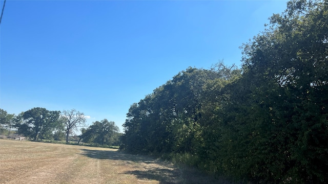 0080 County Road 415, Navasota, TX 77868 - photo 36