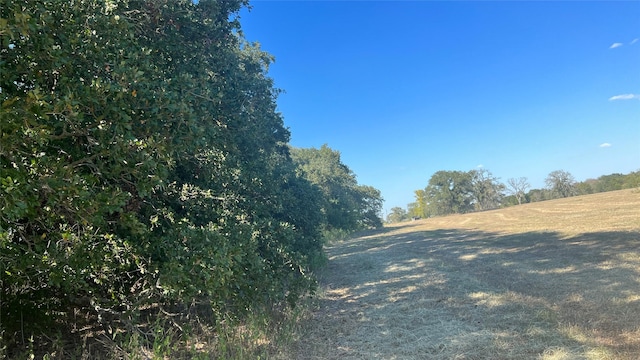 0080 County Road 415, Navasota, TX 77868 - photo 37