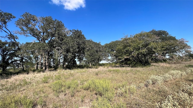 0080 County Road 415, Navasota, TX 77868 - photo 38