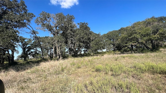 0080 County Road 415, Navasota, TX 77868 - photo 39