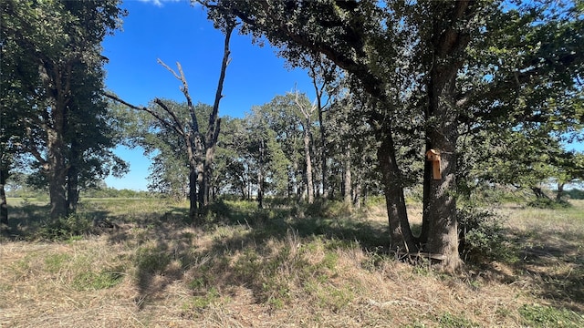 0080 County Road 415, Navasota, TX 77868 - photo 40