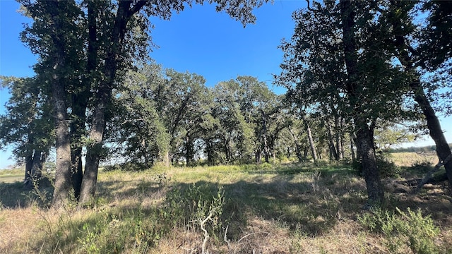 0080 County Road 415, Navasota, TX 77868 - photo 41