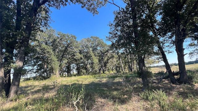 0080 County Road 415, Navasota, TX 77868 - photo 42
