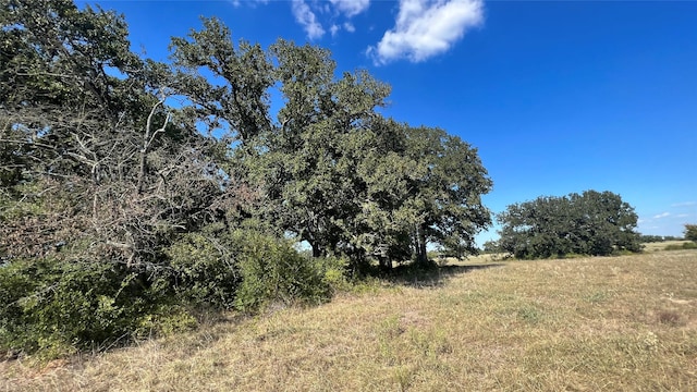 0080 County Road 415, Navasota, TX 77868 - photo 43