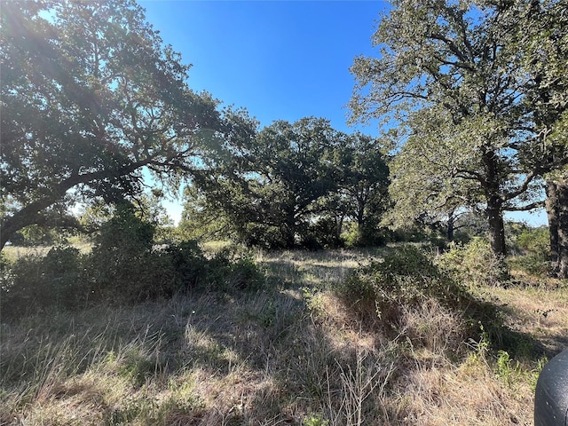 0080 County Road 415, Navasota, TX 77868 - photo 46