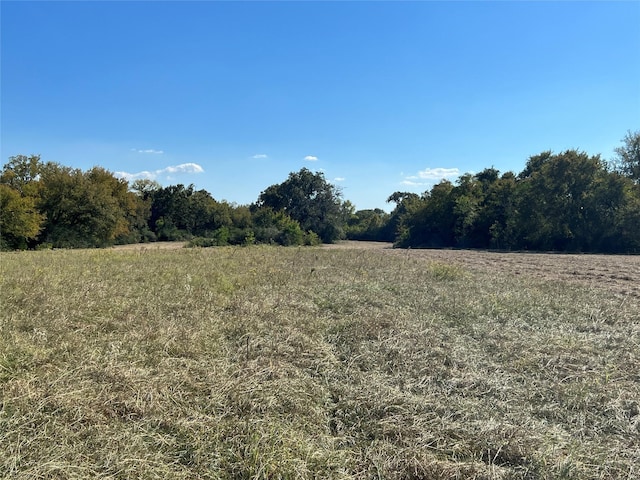 0080 County Road 415, Navasota, TX 77868 - photo 45