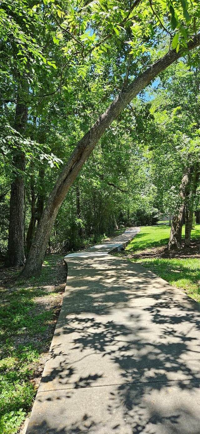 811 Piney Ridge Dr, Friendswood, TX 77546 - view of street