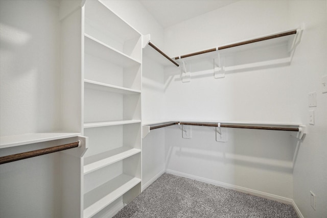 walk in closet with carpet