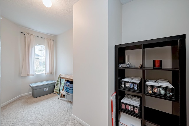 interior space with carpet flooring, baseboards, and a textured ceiling