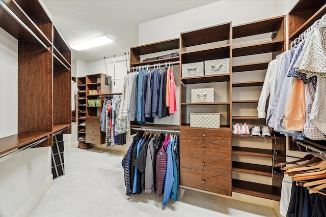 spacious closet featuring carpet flooring