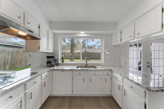 kitchen with white cabinets, a sink, under cabinet range hood, and a peninsula