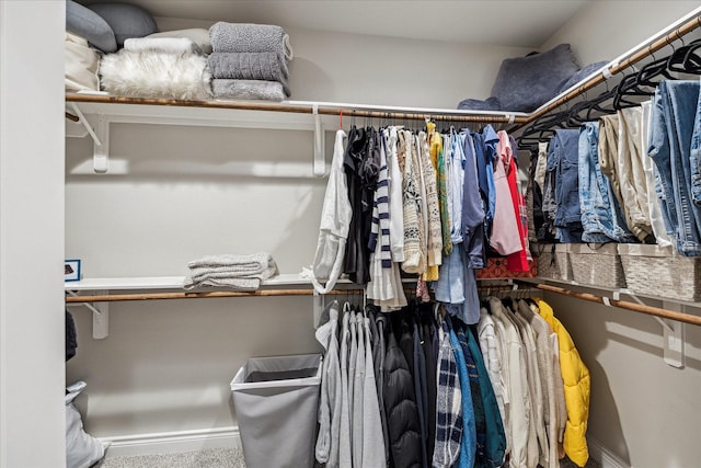 view of spacious closet