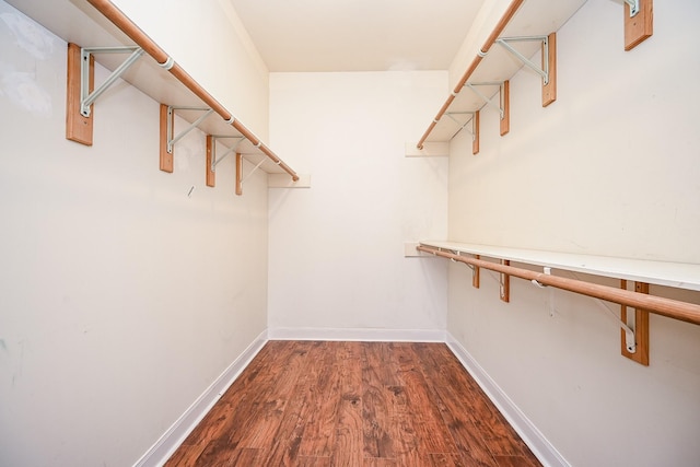 spacious closet with dark wood-style flooring