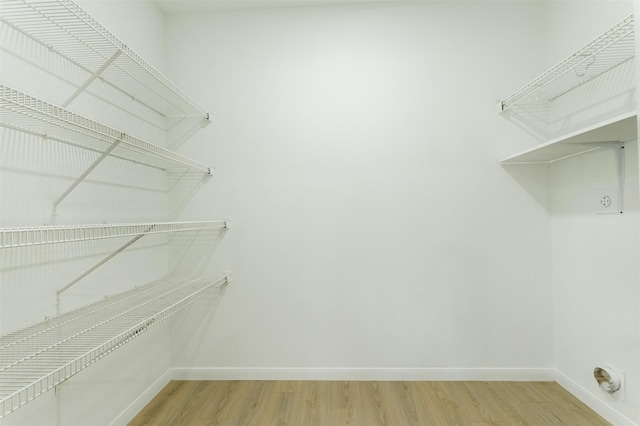 spacious closet featuring light wood-style floors