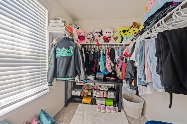 walk in closet featuring carpet flooring