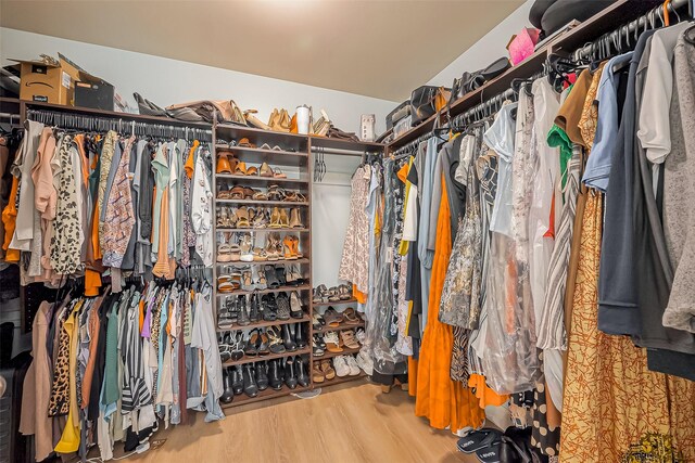 spacious closet featuring wood finished floors