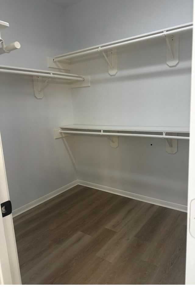 spacious closet with dark wood-style flooring