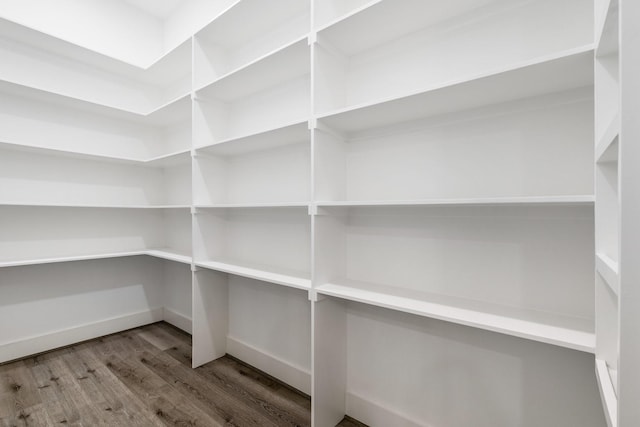245 E Blue Heron Dr, Montgomery, TX 77316 - view of storage area