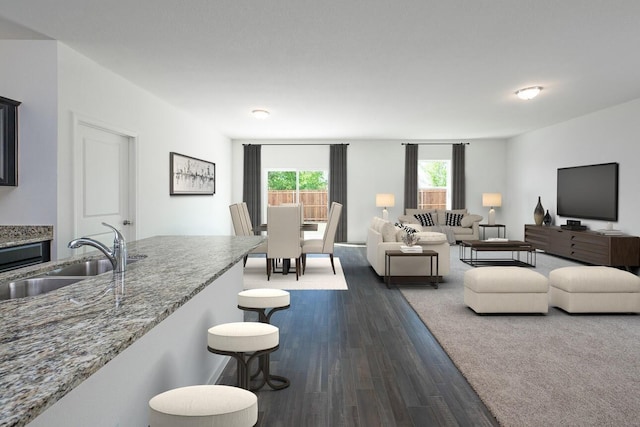 living area featuring dark wood-style flooring