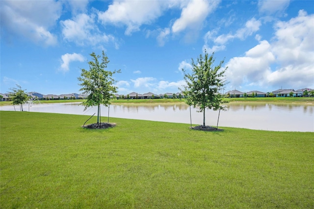 water view with a residential view