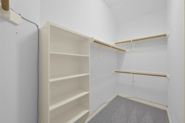 spacious closet featuring carpet and vaulted ceiling