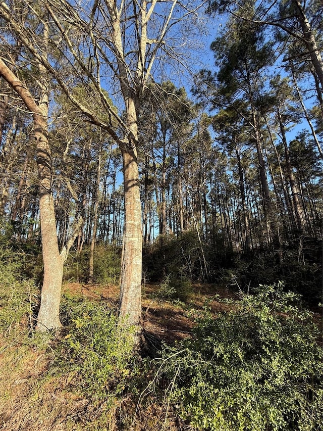 583 County Road 2286, Cleveland, TX 77327 - photo 1