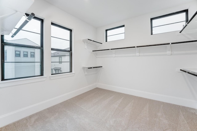 walk in closet with light colored carpet