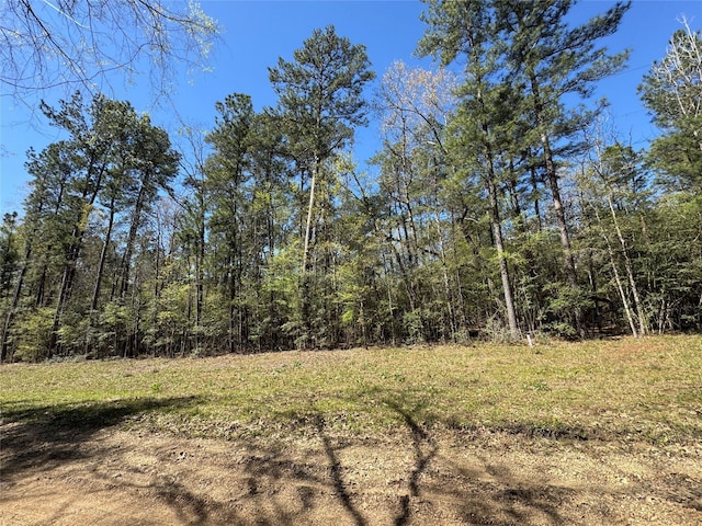 TBD County Road 2142 B, Cleveland, TX 77327 - photo 2