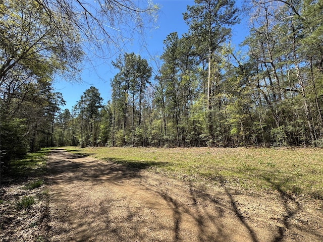 TBD County Road 2142 B, Cleveland, TX 77327 - photo 3