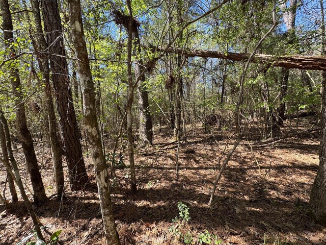 TBD County Road 2142 B, Cleveland, TX 77327 - photo 4