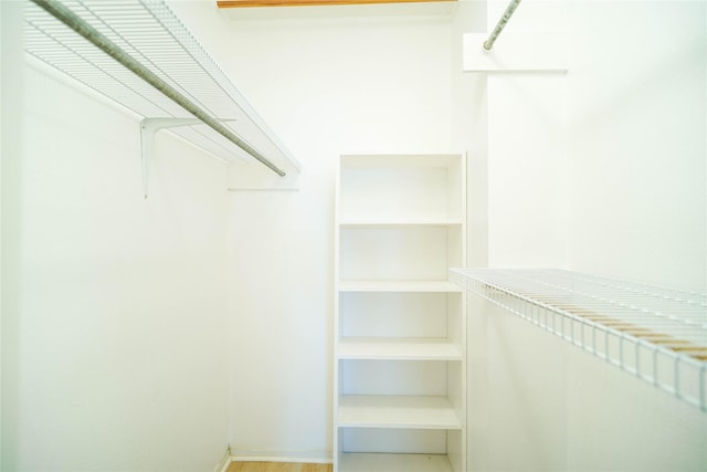 spacious closet featuring wood finished floors