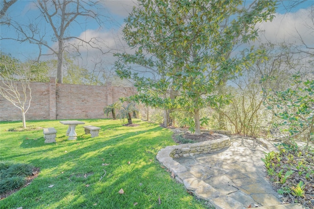 view of yard featuring a fenced backyard and a patio