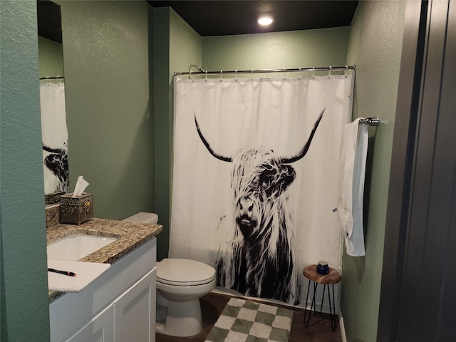 bathroom with toilet, a textured wall, and vanity